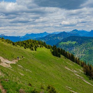 2020_05_schuerpfeneck_bild_6