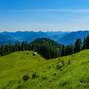 2020_06_grasköpfl_bild_1