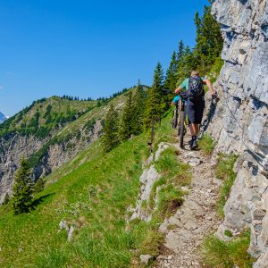 2020_06_grasköpfl_bild_2