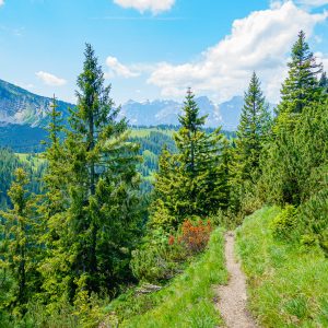 2020_06_grasköpfl_bild_5