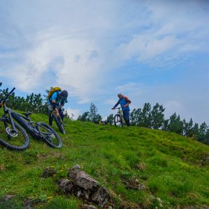 2020_06_platteneck_bild_1 2020_06_platteneck_bild_1