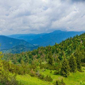 2020_06_platteneck_bild_2 2020_06_platteneck_bild_2