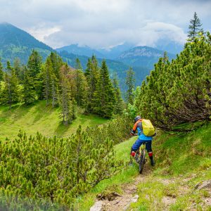 2020_06_platteneck_bild_3 2020_06_platteneck_bild_3