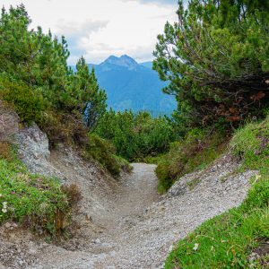 2020_06_platteneck_bild_4 2020_06_platteneck_bild_4