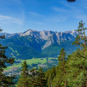 2020_07_koenigstand_bild_5 2020_07_koenigstand_bild_5