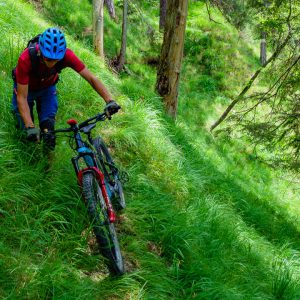 2020_07_koenigstand_bild_6 2020_07_koenigstand_bild_6