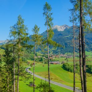 2020_08_blindsee_bild_1 2020_08_blindsee_bild_1