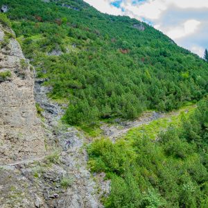 2020_08_blindsee_bild_5 2020_08_blindsee_bild_5