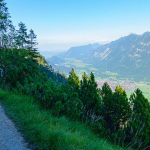 2020_08_koenigstand_bild_3 2020_08_koenigstand_bild_3