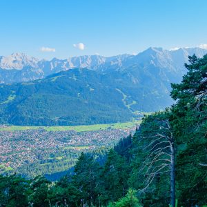 2020_08_koenigstand_bild_4 2020_08_koenigstand_bild_4