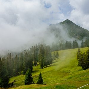 2020_08_kreuzweg_bild_4