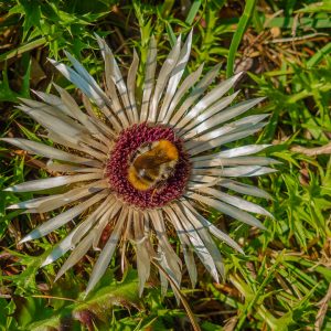 2020_09_lorea_bild_6