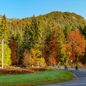 2020_10_stepberg_bild_1 2020_10_stepberg_bild_1