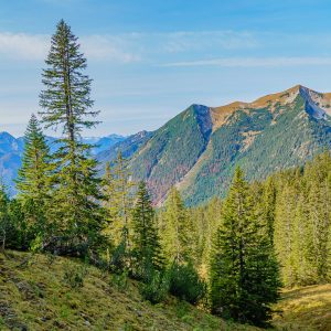 2020_10_stepberg_bild_3 2020_10_stepberg_bild_3