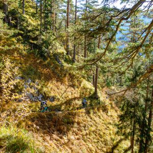 2020_10_stepberg_bild_6 2020_10_stepberg_bild_6