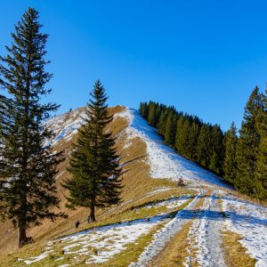 2020_11_seekar_bild_1