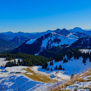 2020_11_seekar_bild_2