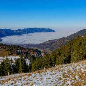 2020_11_seekar_bild_3