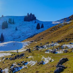 2020_11_seekar_bild_5