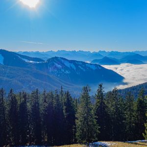 2020_11_seekar_bild_6