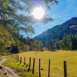 2020_11_wank2_bild_2 2020_11_wank2_bild_2