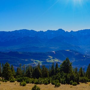 2020_11_wank_bild_3 2020_11_wank_bild_3