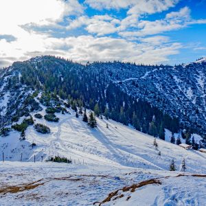 2020_12_30_kratzer_bild_4 2020_12_30_kratzer_bild_4