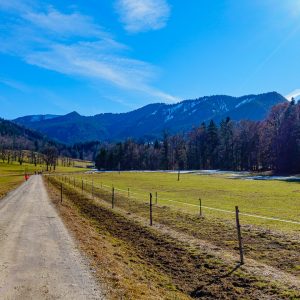 2021_02_21_geierstein_bild_1