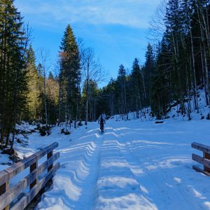 2021_02_21_geierstein_bild_3