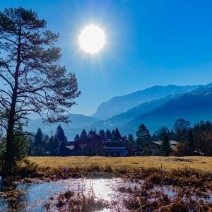 2021_02_koenigstand_bild_1 2021_02_koenigstand_bild_1