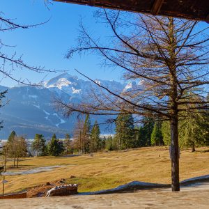 2021_02_koenigstand_bild_2 2021_02_koenigstand_bild_2