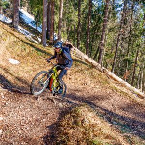 2021_02_koenigstand_bild_3 2021_02_koenigstand_bild_3