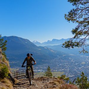 2021_02_koenigstand_bild_4 2021_02_koenigstand_bild_4