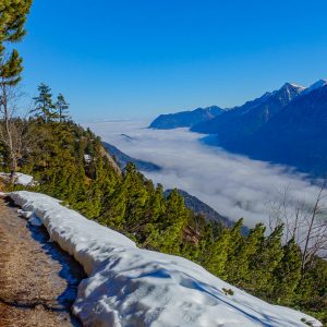 2021_02_koenigstand_bild_5 2021_02_koenigstand_bild_5