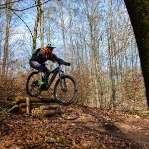 2021_04_heumoedern_bild_3 2021_04_heumoedern_bild_3