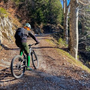 2021_04_schafkopf_bild_2