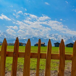 2021_04_schafkopf3_bild_4 2021_04_schafkopf3_bild_4