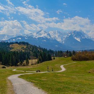 2021_04_schafkopf3_bild_5 2021_04_schafkopf3_bild_5