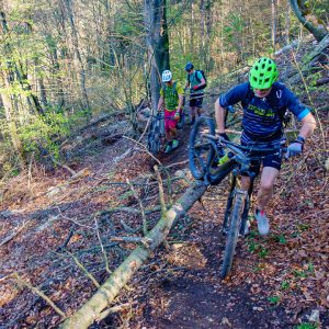 2021_05_kipfenberg_bild_1 2021_05_kipfenberg_bild_1