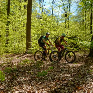 2021_05_kipfenberg_bild_4 2021_05_kipfenberg_bild_4