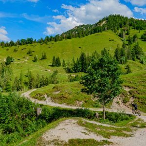 2021_06_koenigsalm_bild_2 2021_06_koenigsalm_bild_2