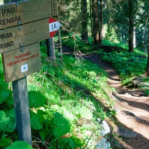 2021_06_welschnofen_bild_3.1 2021_06_welschnofen_bild_3.1