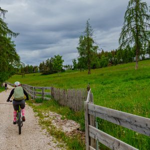 2021_06_welschnofen_bild_4.1 2021_06_welschnofen_bild_4.1