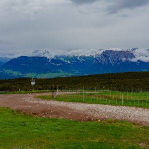 2021_06_welschnofen_bild_4.2 2021_06_welschnofen_bild_4.2