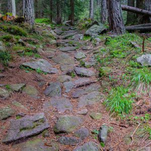 2021_06_welschnofen_bild_4.5 2021_06_welschnofen_bild_4.5