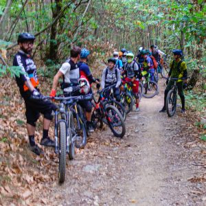 2021_10_finale_bild_1.2