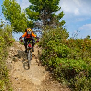 2021_10_finale_bild_2.5