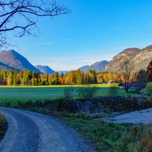 2021_10_huehner_bild_1 2021_10_huehner_bild_1