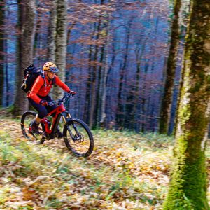 2021_10_huehner_bild_2 2021_10_huehner_bild_2