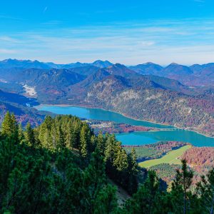 2021_10_huehner_bild_3 2021_10_huehner_bild_3